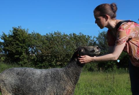 Rosy visits the Blacker Sheep! 5 The Natural Fibre Company Rosy visits the Blacker Sheep! The Natural Fibre Company